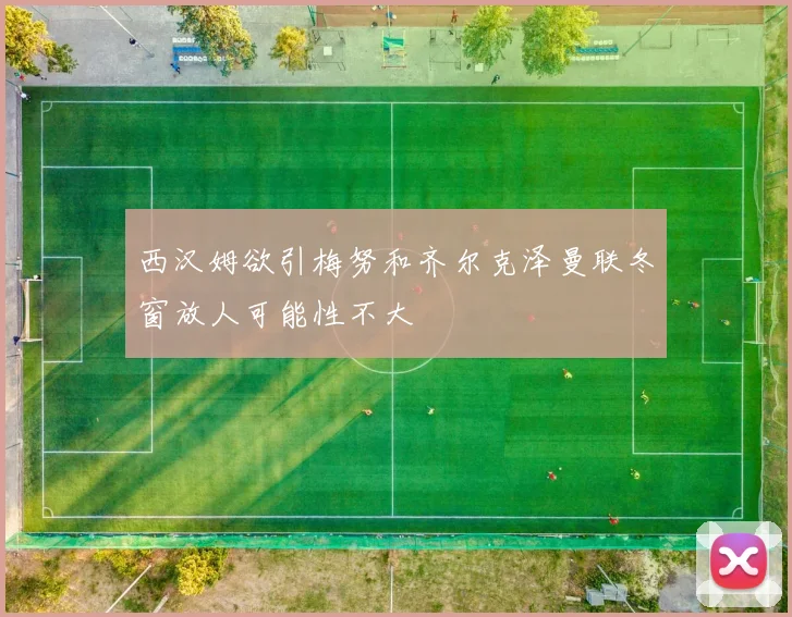 西汉姆欲引梅努和齐尔克泽曼联冬窗放人可能性不大
