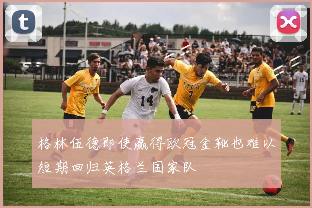 格林伍德即使赢得欧冠金靴也难以短期回归英格兰国家队