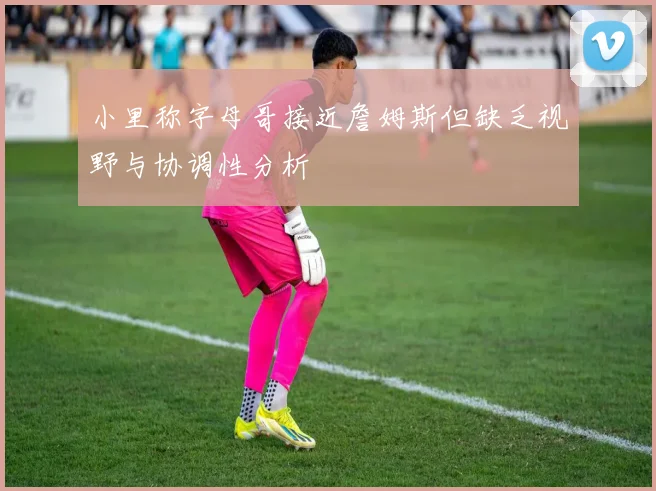 小里称字母哥接近詹姆斯但缺乏视野与协调性分析