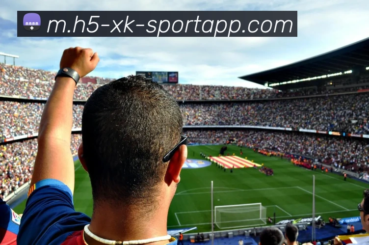 星空体育服务体系